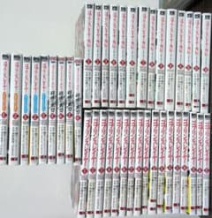 고블린 슬레이어 본편 전체 17 이어원 완결 외전×3 완결 카타나 다수