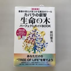 カバラの叡智生命の木パーフェクトガイドBOOK : 最善の答えが見つかる魔法の…のサムネイル