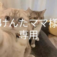 カメラのサムネイル