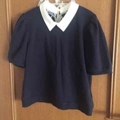マジェスティックレゴンのサムネイル