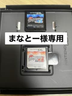まなとー様専用。ポケットモンスター ホワイト2 強データ ＋ブラック2のサムネイル