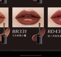 BR331 リスの甘い罠 ヴィセ ネンマクフェイク リキッドのサムネイル