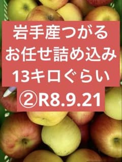 岩手産つがる　R8.9.21 13キロのサムネイル