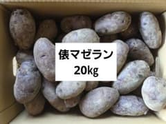 大容量！長崎県産俵マゼランじゃがいも 20㎏ - メルカリ