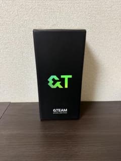 &TEAM OFFICIAL LIGHT STICK ペンライト