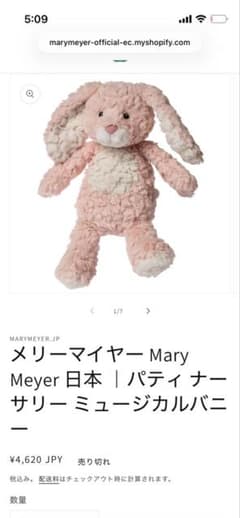 Mary Meyer パティナーサリー ミュージカルバニーのサムネイル