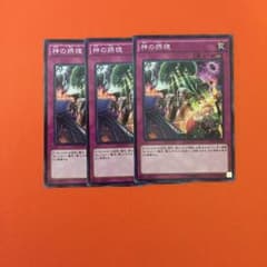 遊戯王 神の摂理 3枚セットのサムネイル
