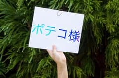 ポテコ様のサムネイル