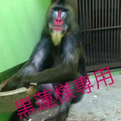 黒蓮様専用のサムネイル