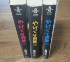 やけくそ天使 1-3全巻セット 吾妻ひでお 秋田文庫 - メルカリ