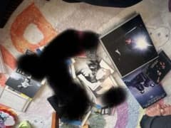 チャゲアス ASKA チャゲ マルチマックスなど 音楽CD DVD アルバム 等