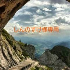 しんのすけ様専用のサムネイル