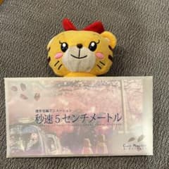 新海誠　秒速５センチメートル　パンフレット　レアのサムネイル