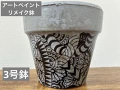 アートペイントリメイク鉢のサムネイル