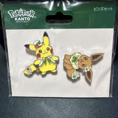 ポケパークカントー　限定　ピンズ　ピンバッジ　ピカチュウ ポケパークカントー限定 ピンズセット ピンバッジ イーブイ ピカチュウ