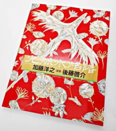初版・絶版】 光脈水焔譜 加藤洋之 ＆ 後藤啓介 画集 - メルカリ