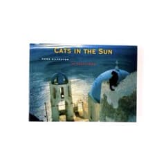【洋書】 猫 ポストカードブック CATS IN THE SUN 猫 写真集のサムネイル