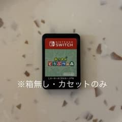 あつまれ どうぶつの森 Nintendo Switch ソフトのサムネイル