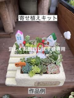 宜しくお願いします　寄せ植えキット×3とR17 宜しくお願いします様専用 寄せ植えキット×3とR17 - メルカリ