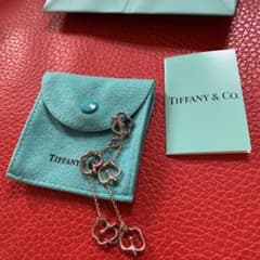 Tiffany ティファニー ブレスレットアップルのサムネイル