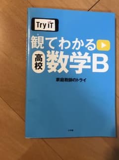 値下げ交渉可 Try IT(トライイット) 観てわかる 高校数学Bのサムネイル