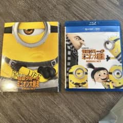 괴도 그루의 미니언 대 탈주 Blu-ray/DVD