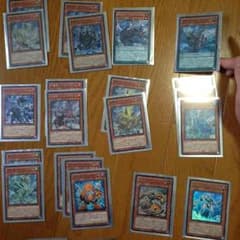 遊戯王 竜星デッキのサムネイル