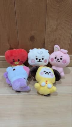 BT21 볼 체인 부착 키홀더 5개 세트