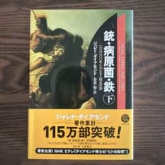 マイク様 リクエスト 2点 まとめ商品のサムネイル