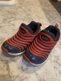 NIKE ナイキ ダイナモフリーのサムネイル