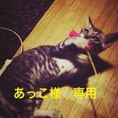 あっこ様♡専用のサムネイル