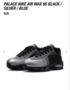 25.5cm PALACE Nike Air Max 95のサムネイル