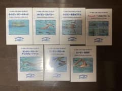 トータルイマージョンスイミングのレッスンDVDのサムネイル