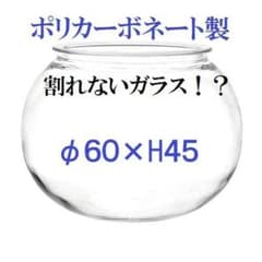 ポリカーボネート製　球形　Φ60×H45　金魚鉢　アクアリウム　花瓶のサムネイル