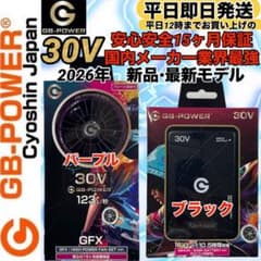 長信ジャパン 国内メーカー 30V 2026年GB430ファンバッテリ パープル