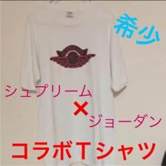 STARK 様 専用ページsupreme JORDAN コラボ Ｔシャツのサムネイル