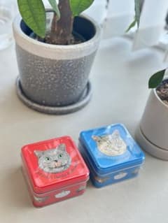 未開封◎kazunori ikeda ラングドシャ 猫 クッキー缶 数のサムネイル