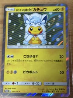 「SU様専用販売 」ポンチョを着たピカチュウ