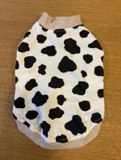 犬服　牛さん柄　ベージュのサムネイル