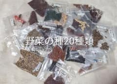 野菜の種 20種類セットJのサムネイル