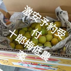 予約受付専用ページ十郎梅 低農薬、シロップ梅酒、梅干し、まだ青梅です。 予約受付専用ページ十郎梅 低農薬、シロップ梅酒、梅干し、まだ青梅