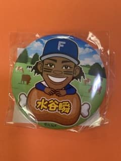 ファイターズガチャ　53水谷　肉祭り　バッチのサムネイル