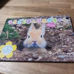 うさぎじまのうさぎちゃん - メルカリ