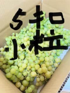 期間限定 シャインマスカット5キロ粒売り 小粒 - メルカリ