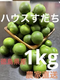 徳島県産 ハウスすだち 1kgのサムネイル