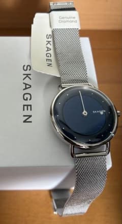 スカーゲンSKAGEN レディース腕時計シルバーSKW2738（送料無料）のサムネイル
