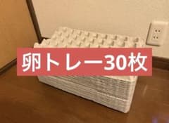 卵トレー30枚のサムネイル