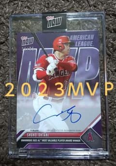 m98702980553_1.jpg?1741261662