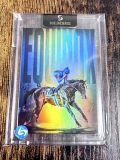 EQUINOX イクイノックス 世界50枚限定 ドバイ 競馬 - メルカリ