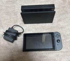 Nintendo Switch グレー 左Joy-Conなし ドック 充電コード Nintendo Switch グレー 左Joy-Conなし ドック 充電コード - メルカリ